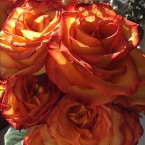 Meet your Posher, Josee